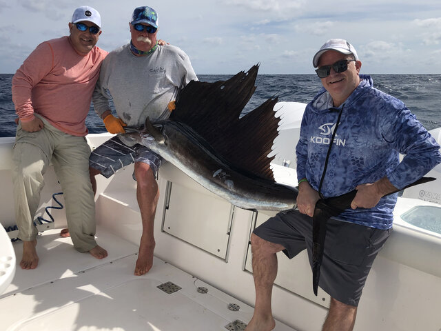 Listing image 563877