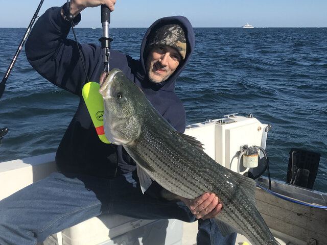 Listing image 550846