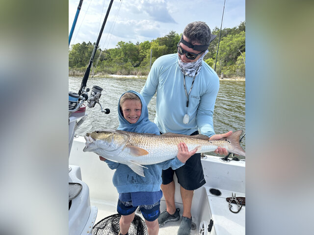 Listing image 1082359