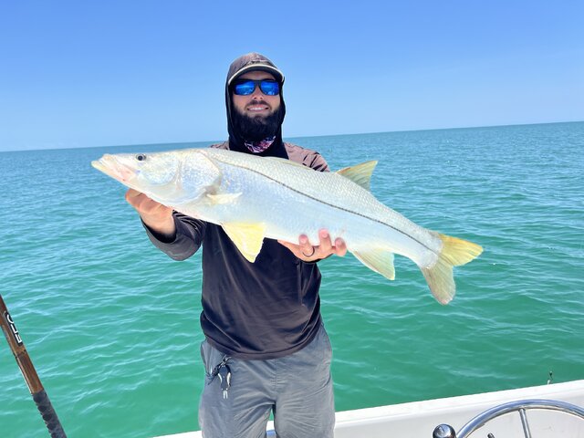 Listing image 792287