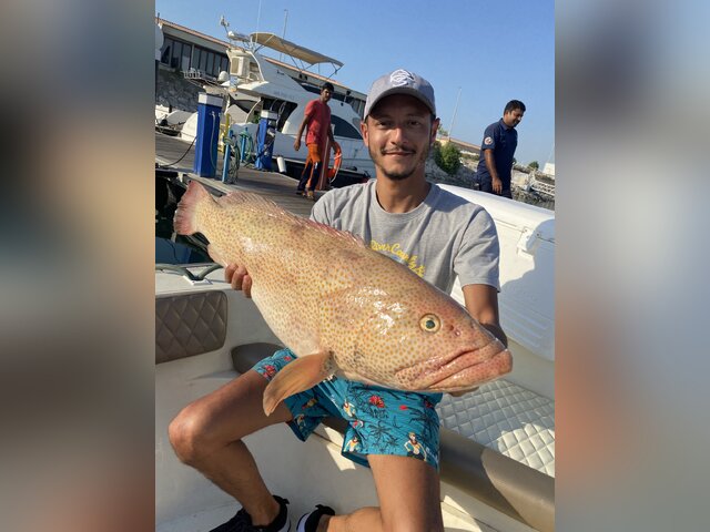 Listing image 789960