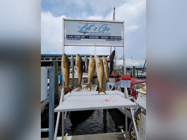 Listing image 605604