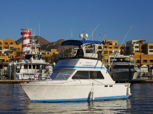 Listing image 560211