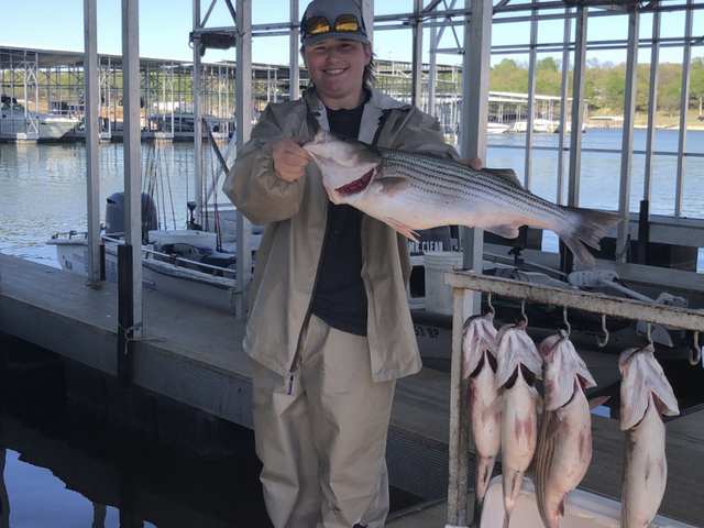 Listing image 576574