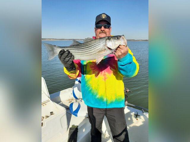 Listing image 677702