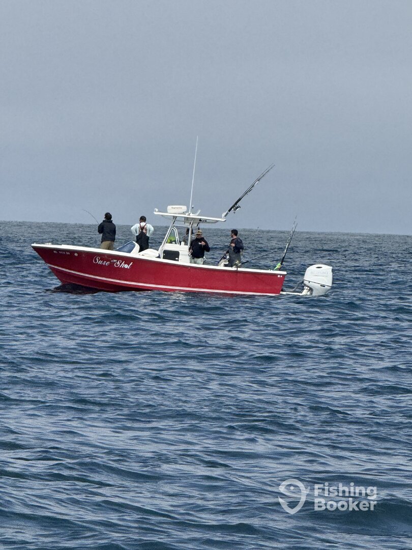 Boat image