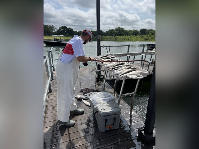 Listing image 721332