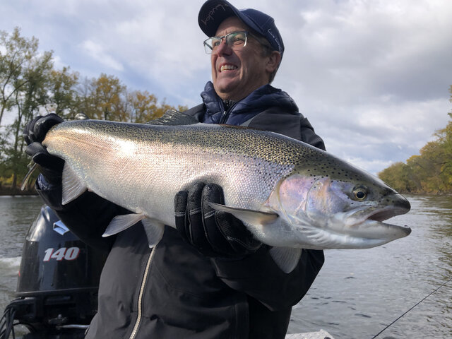 Listing image 566345