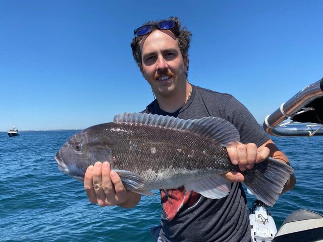 Listing image 556737