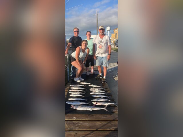 Listing image 557782