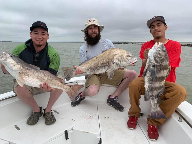 Listing image 567144