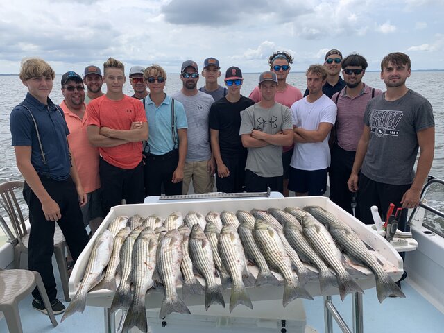 Listing image 559333