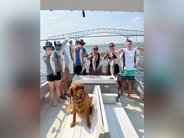 Listing image 883093