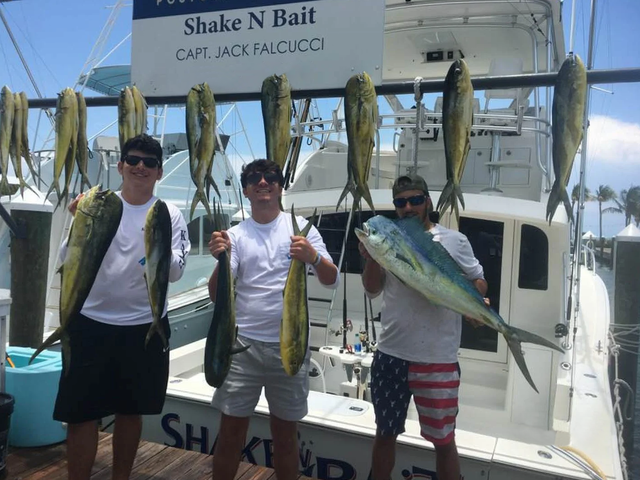 Listing image 733636