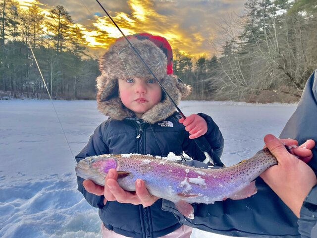 Listing image 1067896