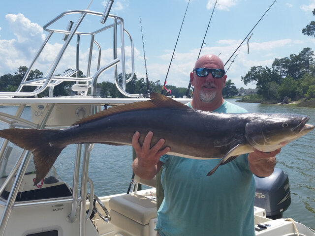 Listing image 568719