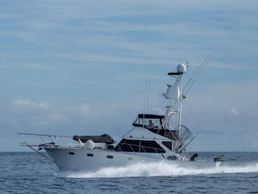 Charter Image