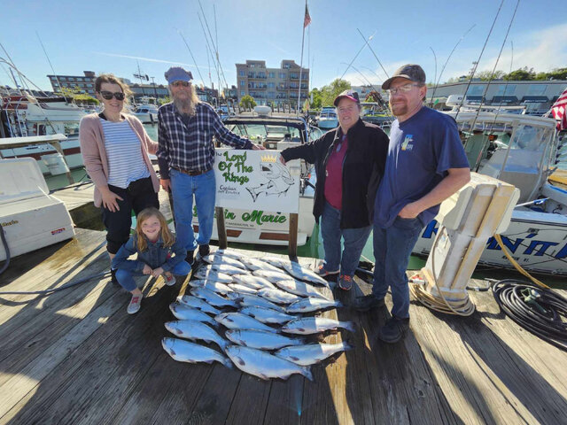 Listing image 1067598