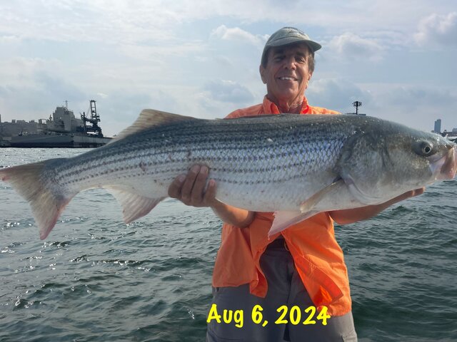 Listing image 1094295