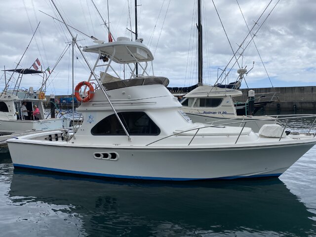 Listing image 810886