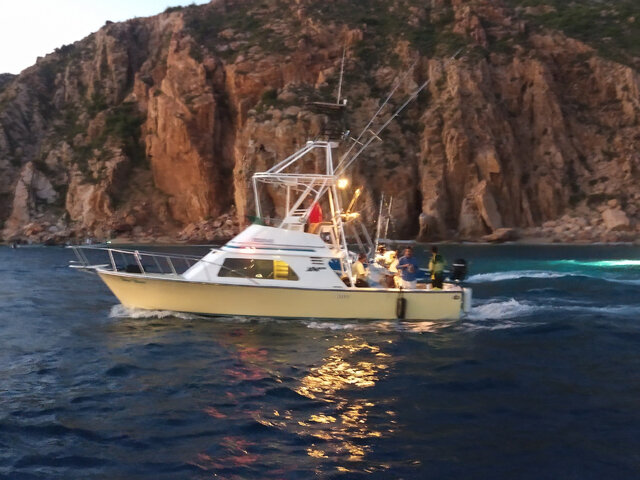 Listing image 596635