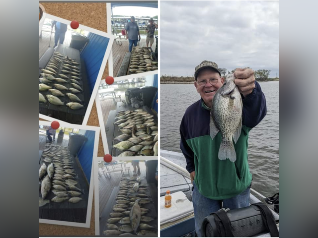 Listing image 889738