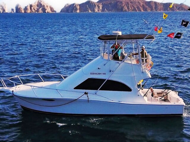 Listing image 899015