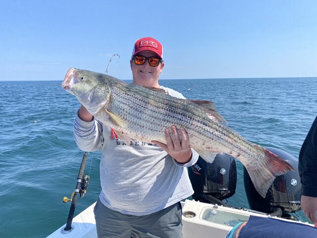 Listing image 972198