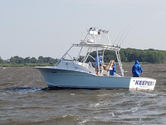 Listing image 1090672