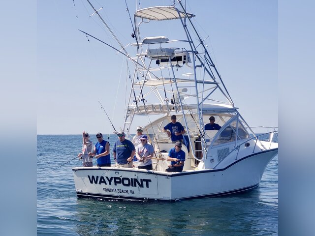 Listing image 438601