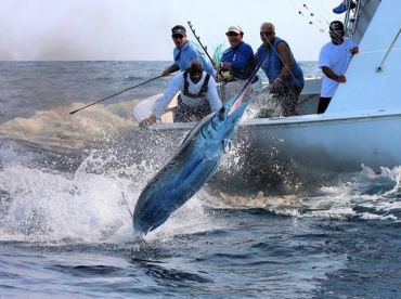 Sea Born Fishing - Fishing Tales