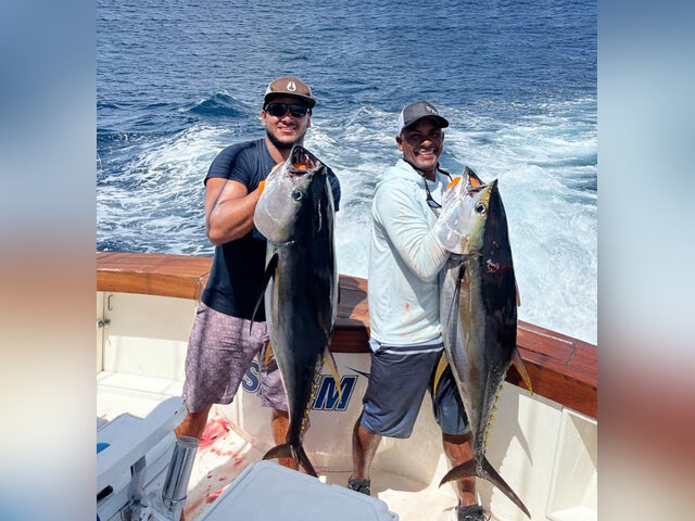 Listing image 622564