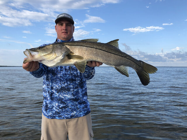 Listing image 585719