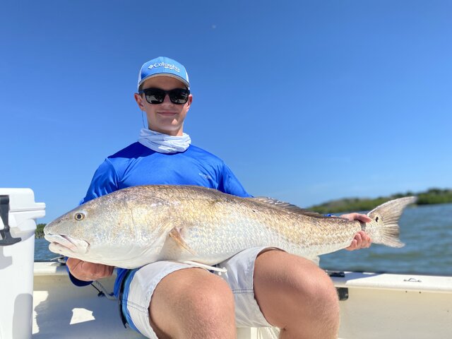 Listing image 592845