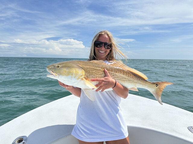 Listing image 1030178