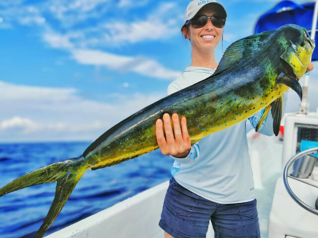 Listing image 602850