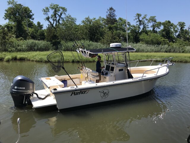 Listing image 699774