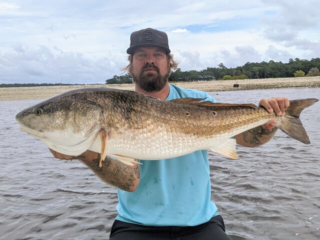 Listing image 622869