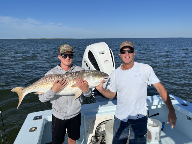 Listing image 718435