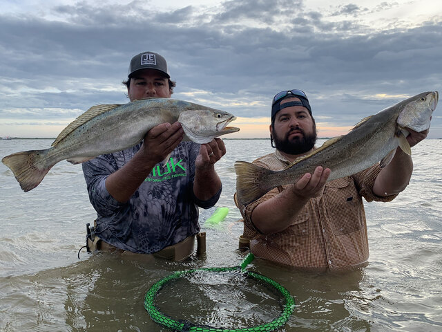 Listing image 685794