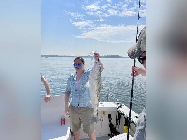 Listing image 705999