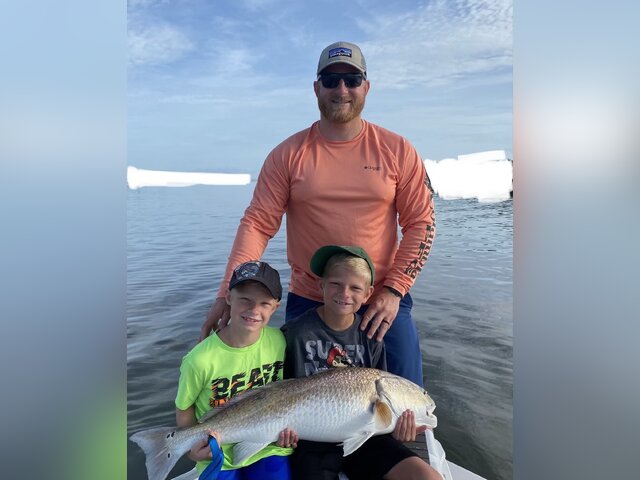 Listing image 598424