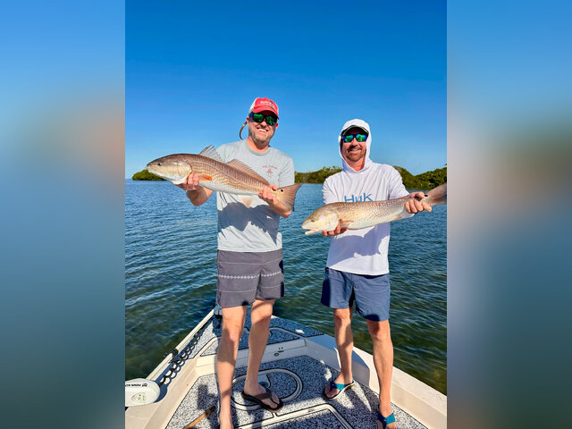 Listing image 1265139