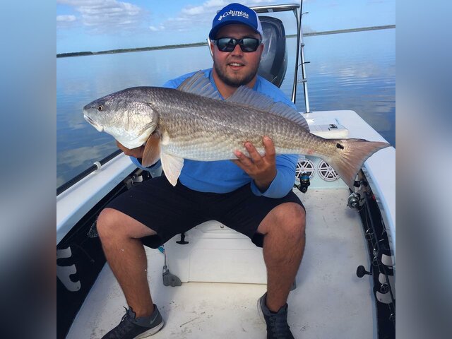 Listing image 584837