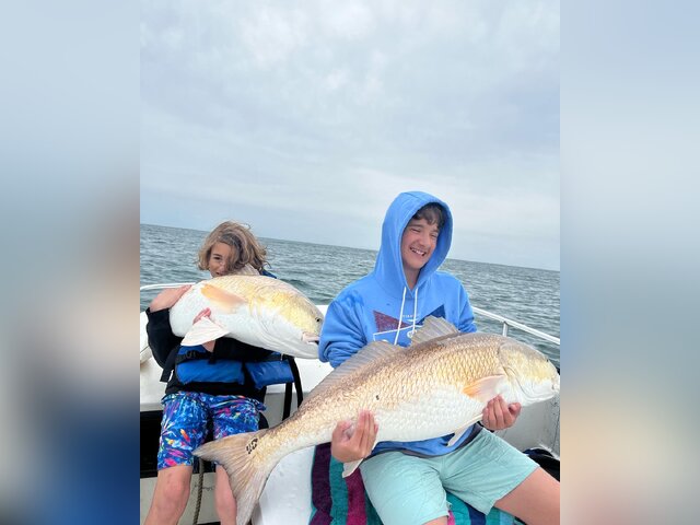 Listing image 692610