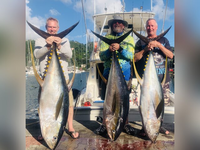 Listing image 981292