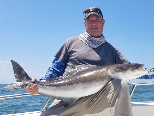 Listing image 602134