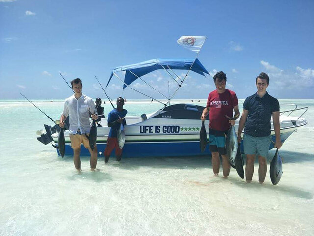 Listing image 666352