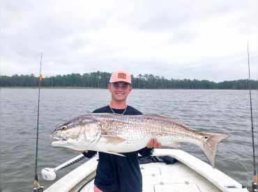 FinchasersUSA Charters thumbnail