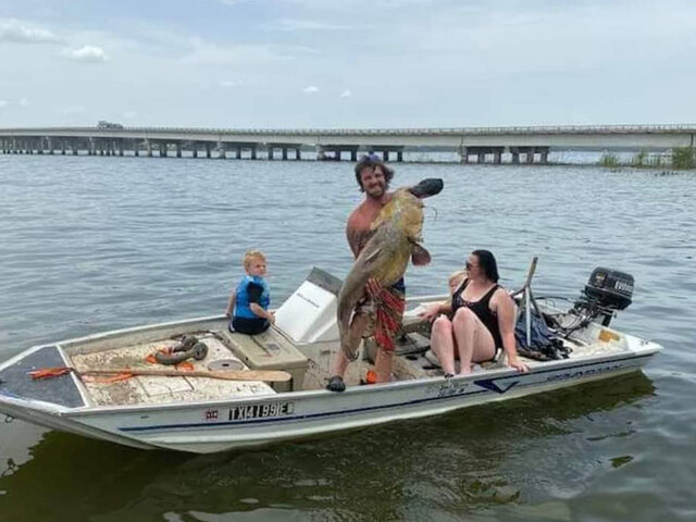 Listing image 628903